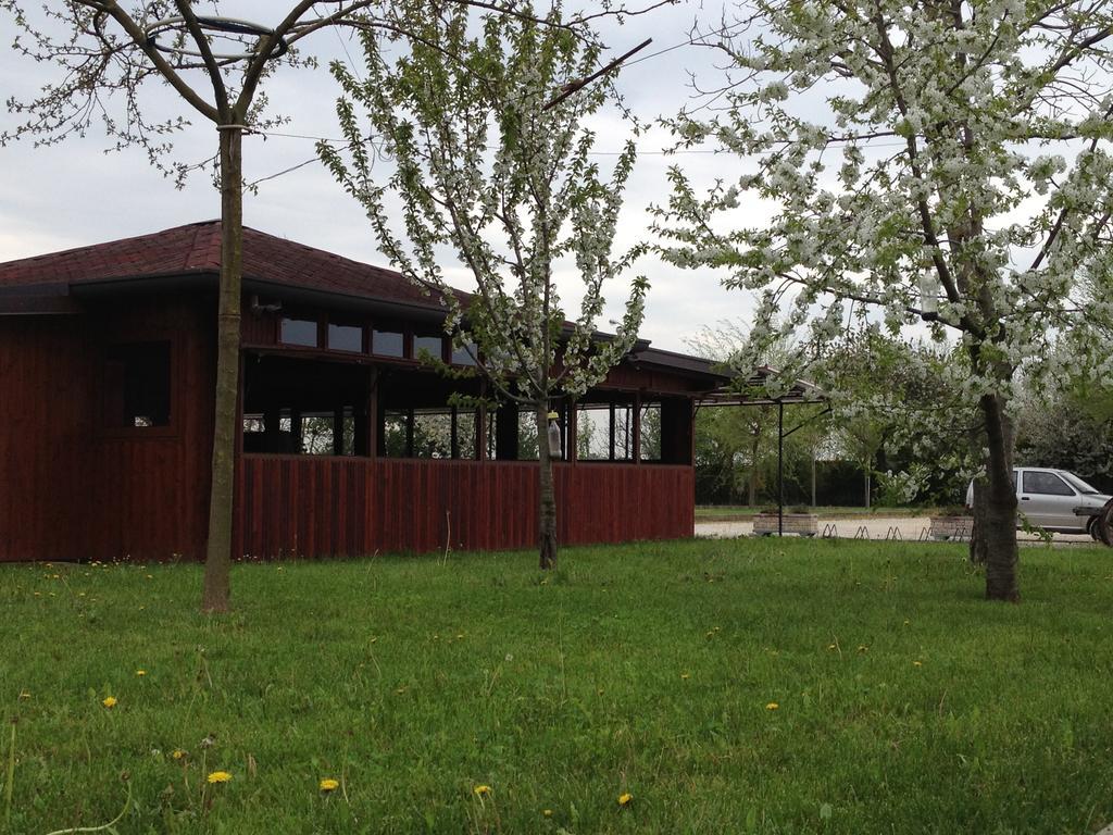 Agriturismo Nonis ซานวีโต อัล ตาญาเมนโต ภายนอก รูปภาพ